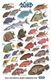fish card